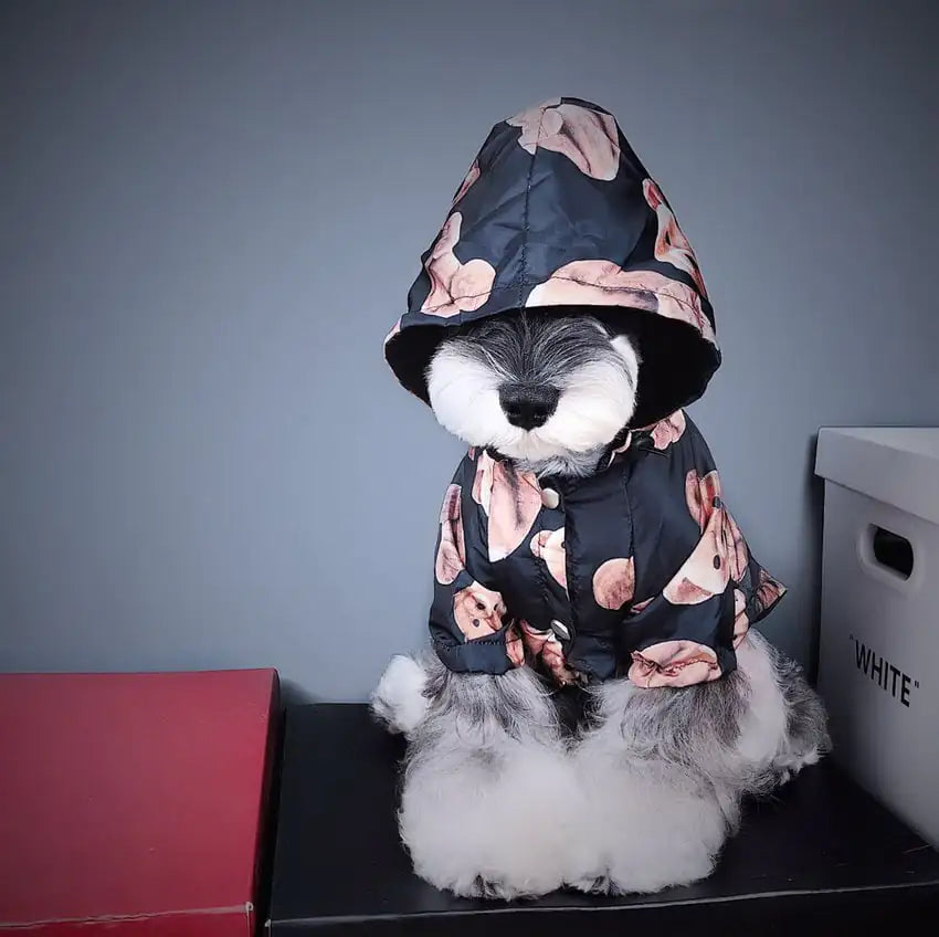 Autumn Winter Raincoat for Trendy Puppy