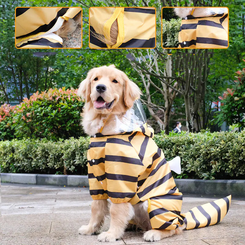 All-Inclusive Raincoat for Four-Legged Pets