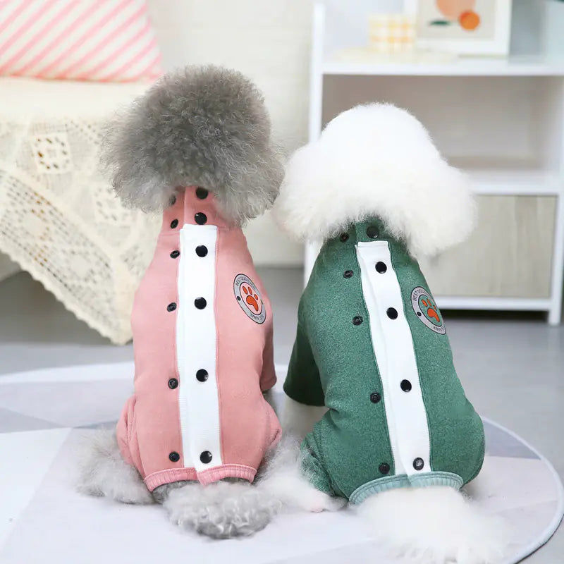 Winter Teddy Clothes for Small Dogs