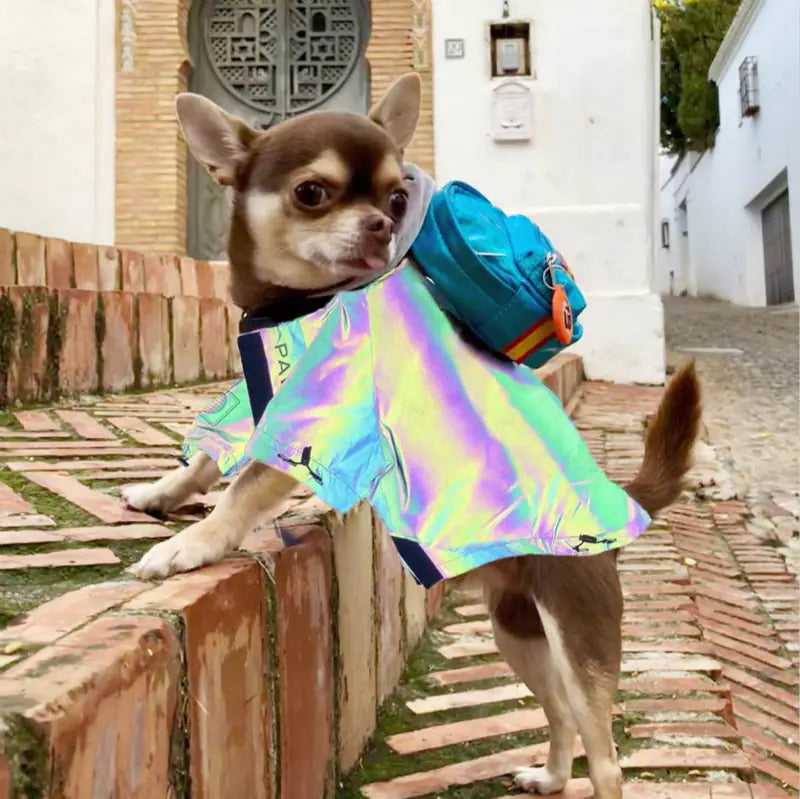 Reflective Raincoat for Dogs - Corgi, Schnauzer, Frenchie