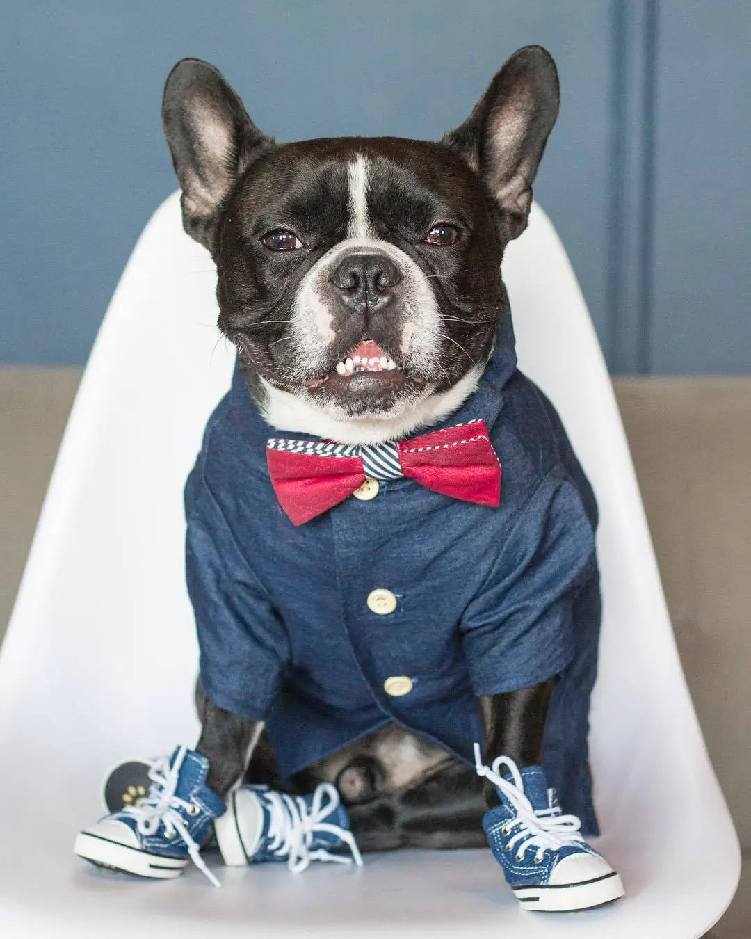 Summer Pet Printed Cotton Outfits for Small Dogs