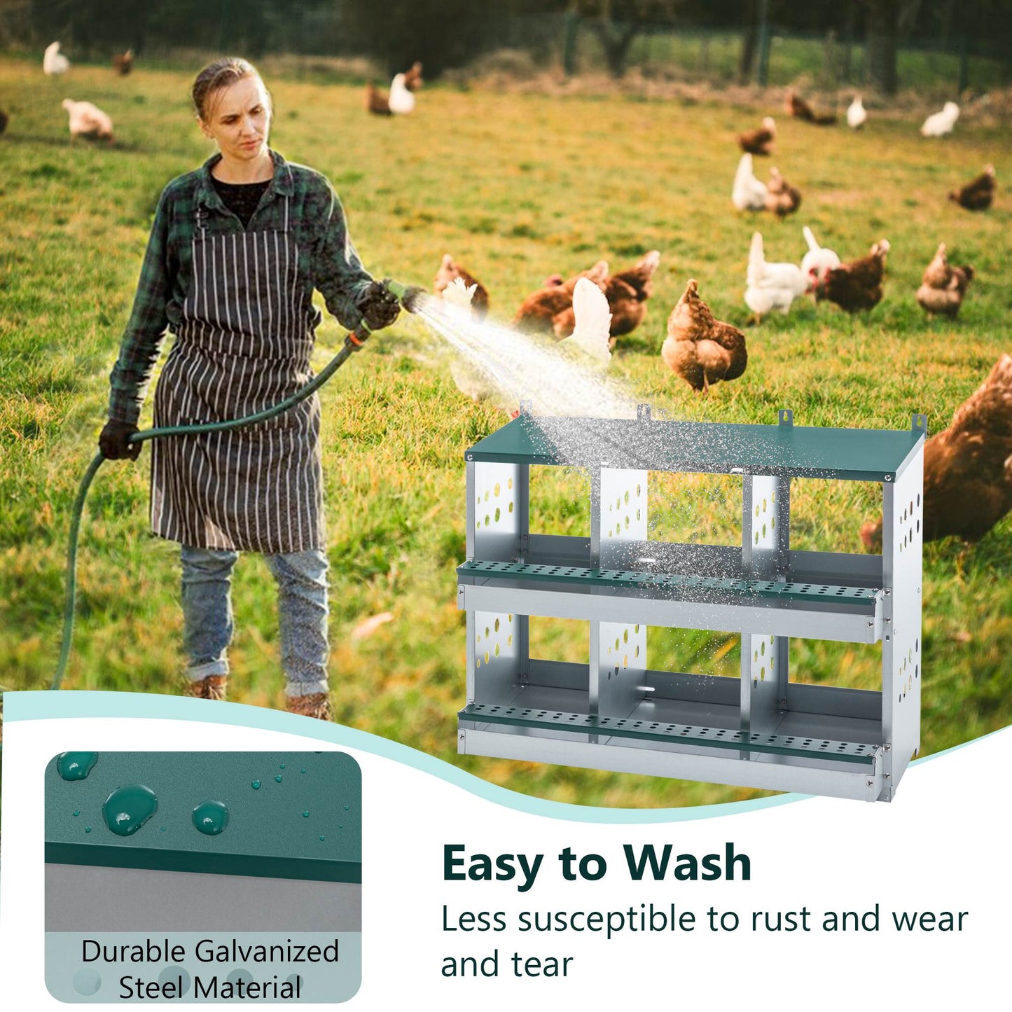 6 Compartments Chicken Nesting Box For Laying Eggs, Roll Away Chicken Laying Boxes, Green