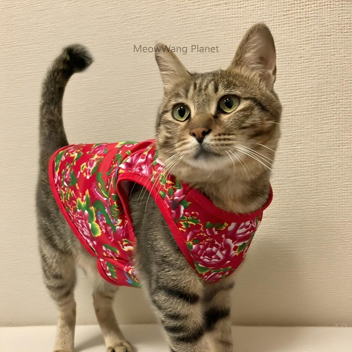 Dog Cat Clothes Pet Apparel Premium Lightweight Summer Pet Vest Breathable Chinese Inspired Design With Bold Floral Pattern For Small Medium Dogs And Cats Stylish Comfortable Warm Weather Apparel Luxu