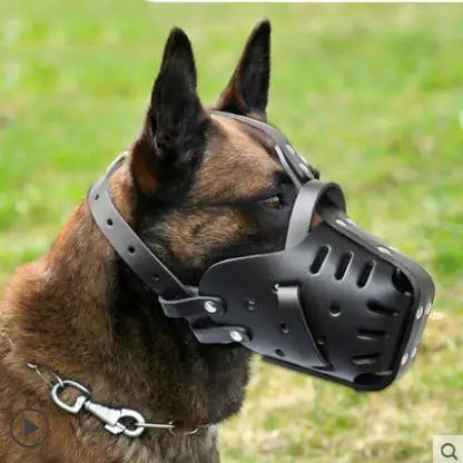 Cowhide Dog Muzzle for Medium and Large Dogs