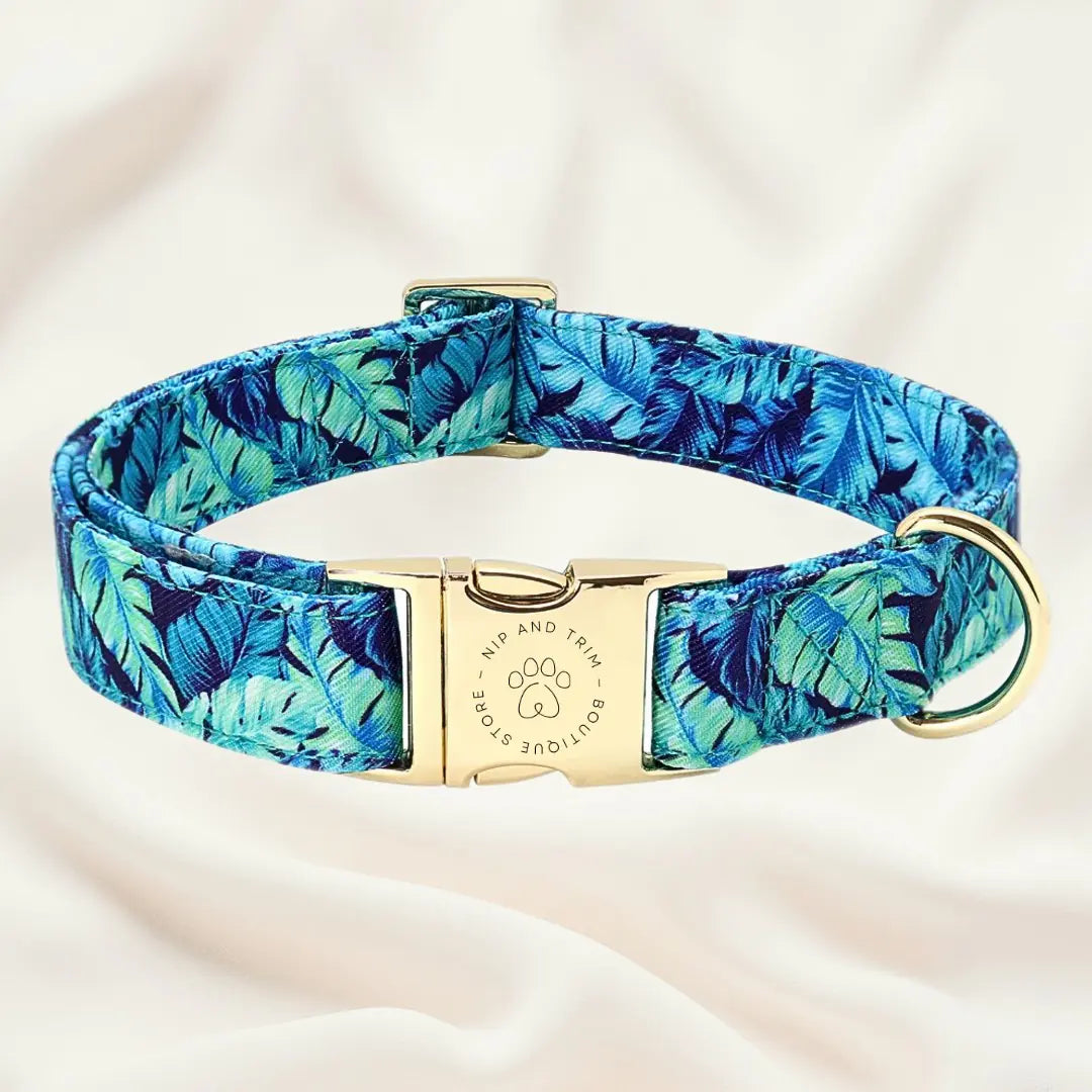 Custom Dog Collar with Personalized Name Tag