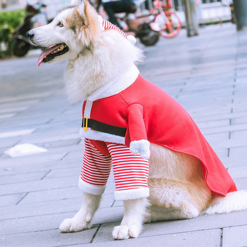 Autumn And Winter Fleece Funny Pet Clothes