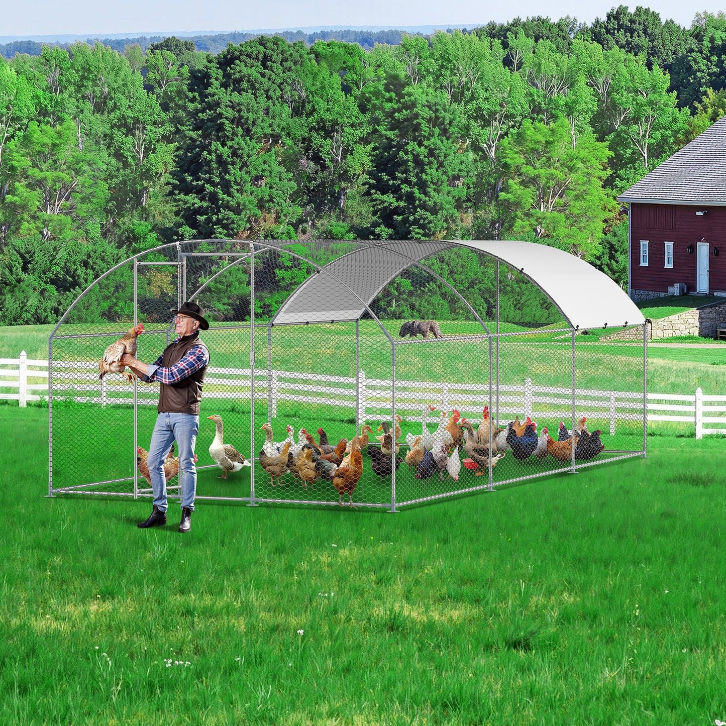 Metal Chicken Coop 9.8x19.6x6.5 Ft Walk-in Chicken Run With Cover Doom Roof