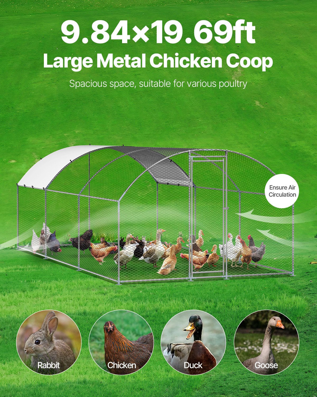 Metal Chicken Coop 9.8x19.6x6.5 Ft Walk-in Chicken Run With Cover Doom Roof