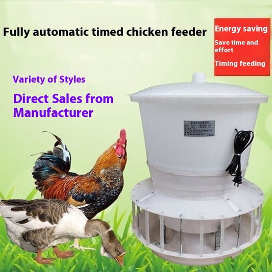 Feeder Chicken Feeding Pigeon Automatic