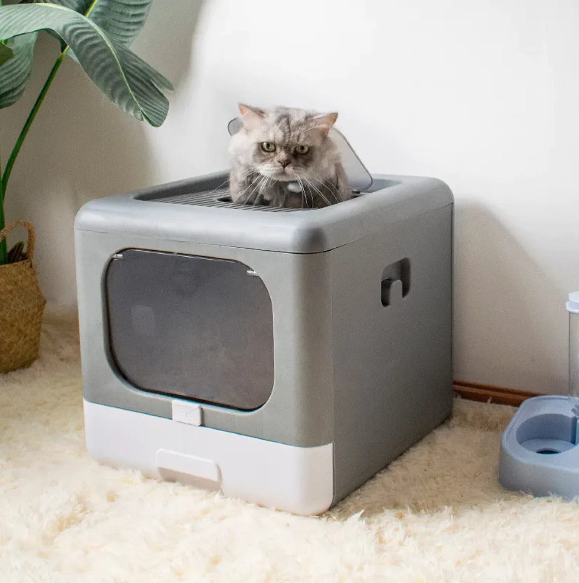 Extra Large Enclosed Cat Litter