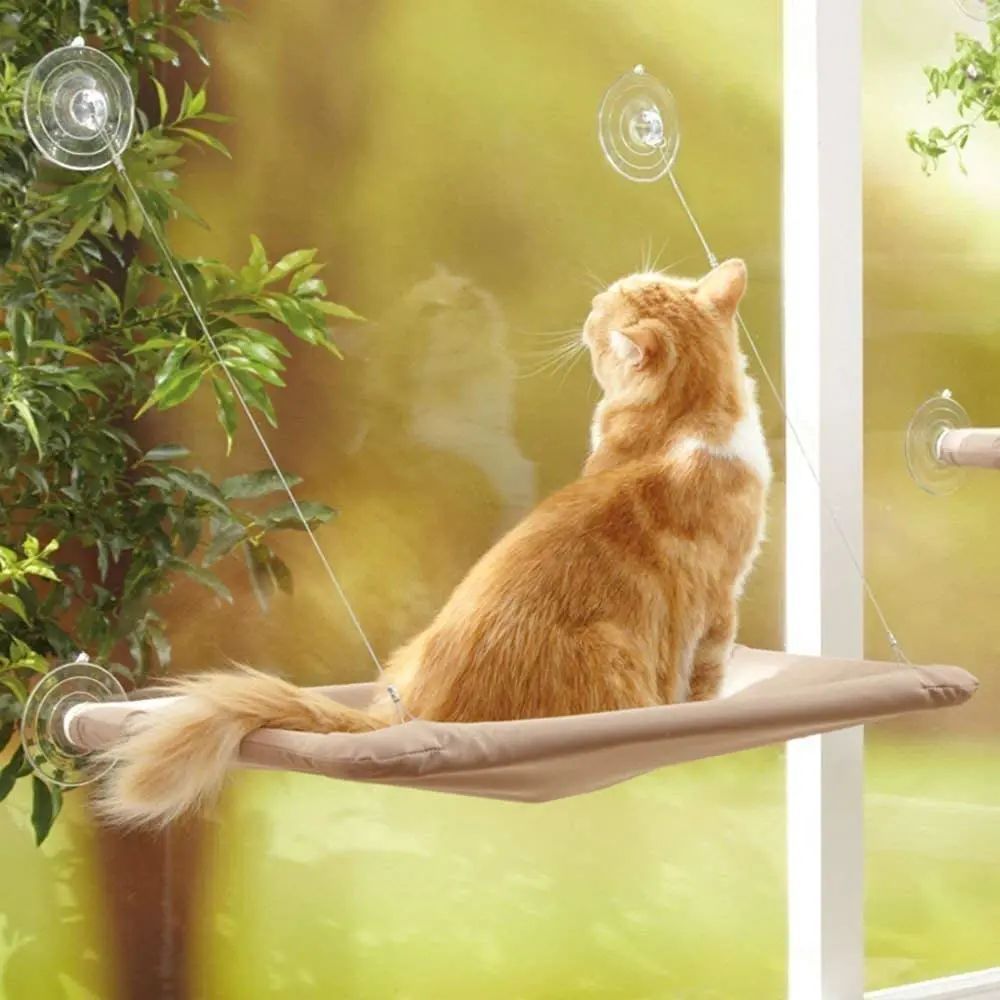 Fashion Statement Cat Window Hammock Seat
