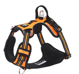 Pet Dog Harness and Leash for Walking