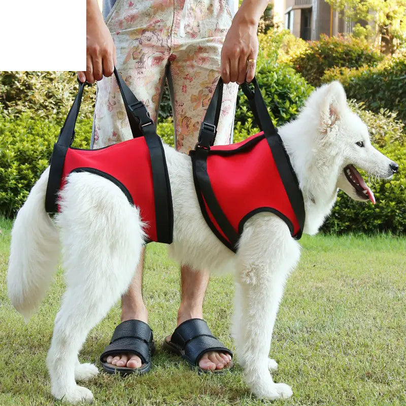 Senior Dog Support Harness – Helps Aging Dogs Walk Comfortably
