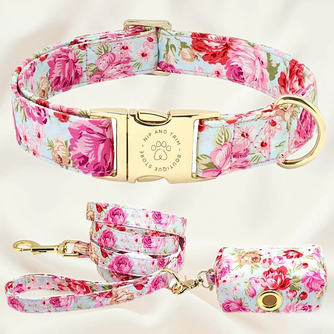 Custom Dog Collar with Personalized Name Tag