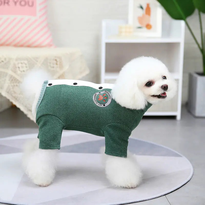 Winter Teddy Clothes for Small Dogs