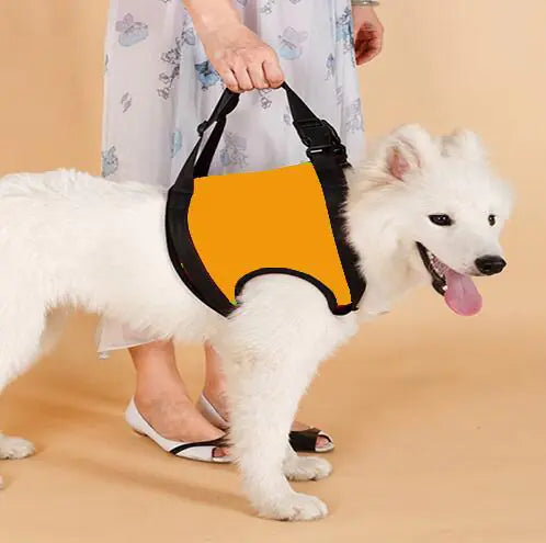 Senior Dog Support Harness – Helps Aging Dogs Walk Comfortably