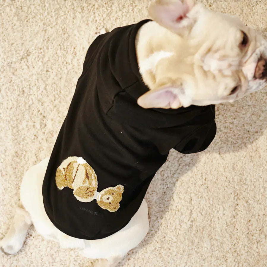 Angel PA Bear Sweater for Parent and Child Winter Warmth