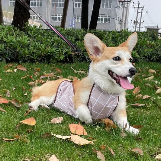 Corgi Dudou Summer Dog Raincoat for Pets