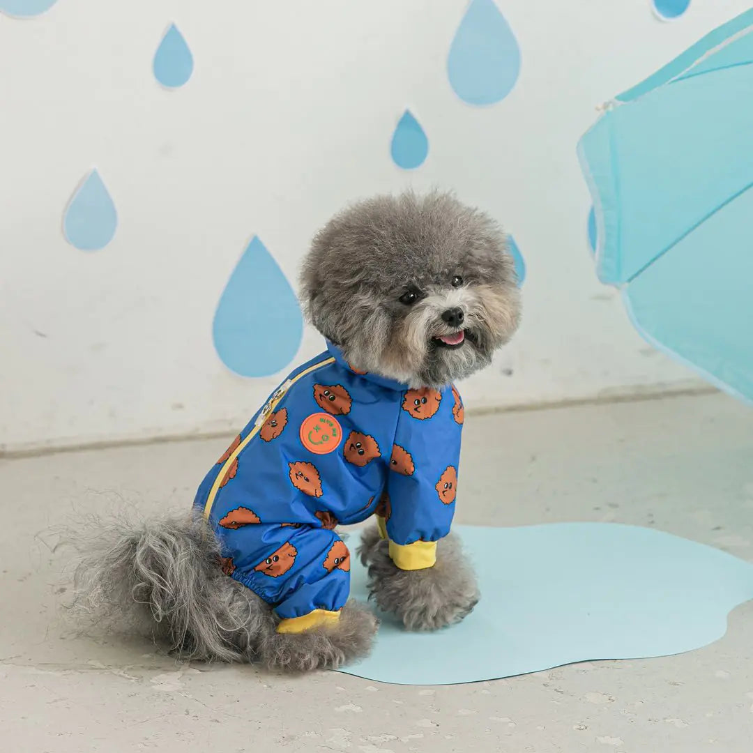 Waterproof Full Coverage Raincoat for Small Dogs