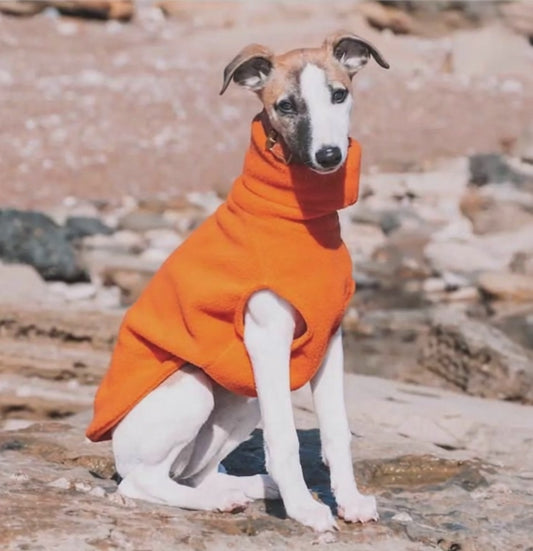 Black Friday Kickoff!   Soft Polar Fleece Turtleneck for Dogs