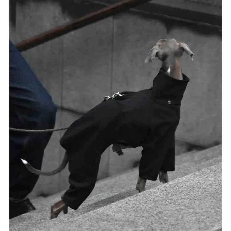 Windproof Jacket for Dogs - Punching Raincoat Design