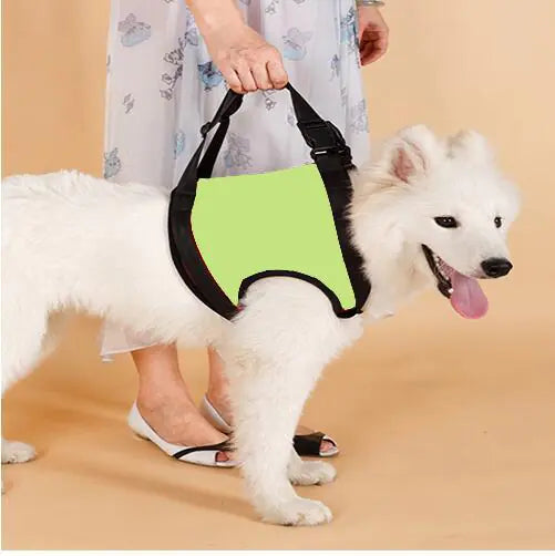 Senior Dog Support Harness – Helps Aging Dogs Walk Comfortably