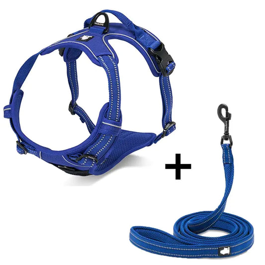 Pet Dog Harness and Leash for Walking