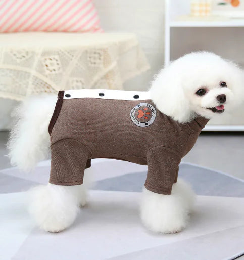 Winter Teddy Clothes for Small Dogs