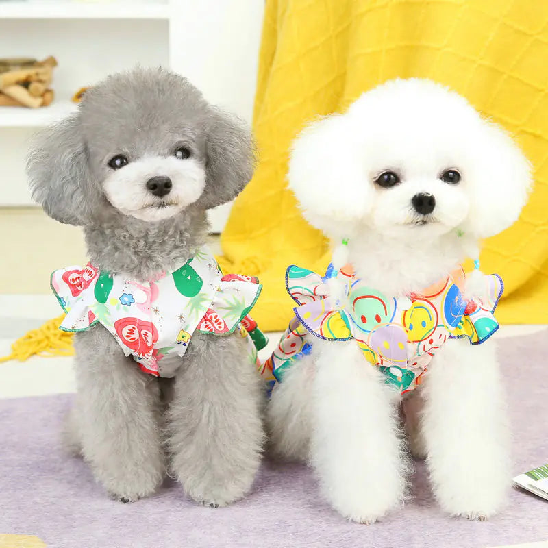 Teddy Bear Casual Style Skirt for Pets