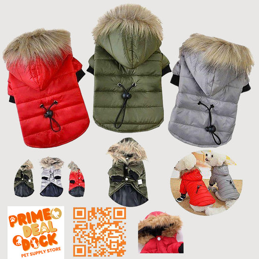 Pet Clothing Autumn And Winter Pet Sweater Teddy