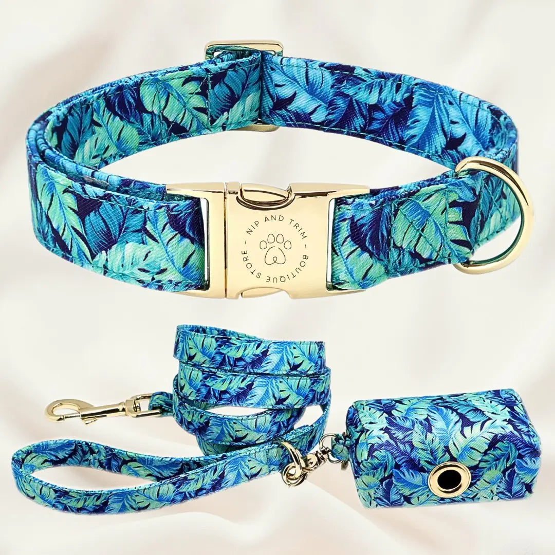 Custom Dog Collar with Personalized Name Tag