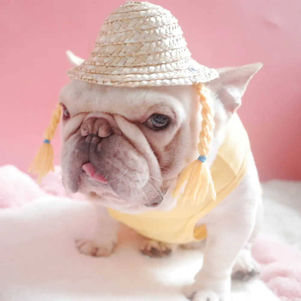 Dog and Cat Double Braid Straw Hat (French Style)