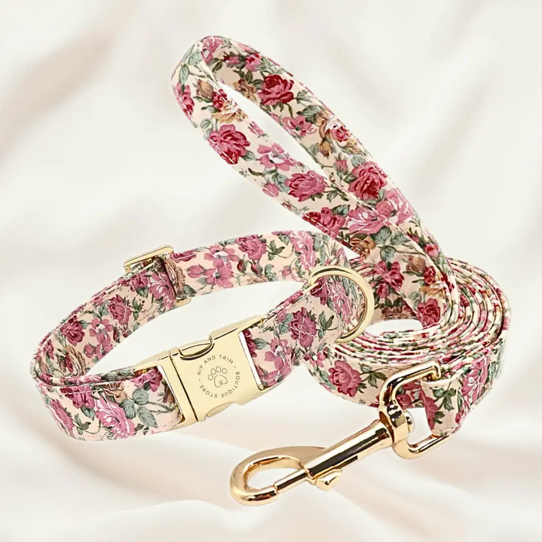 Custom Dog Collar with Personalized Name Tag