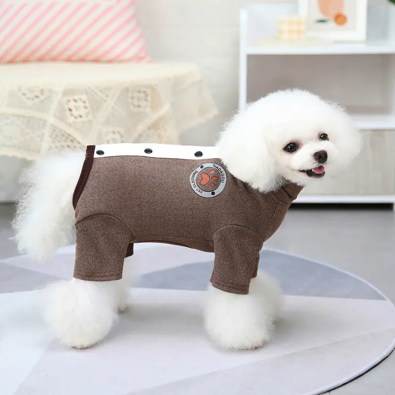 Winter Teddy Clothes for Small Dogs