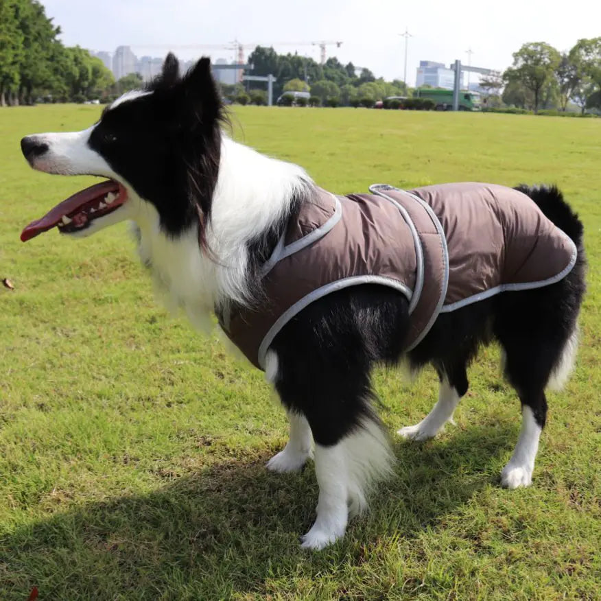 Solid Color Cotton Vest for Dogs