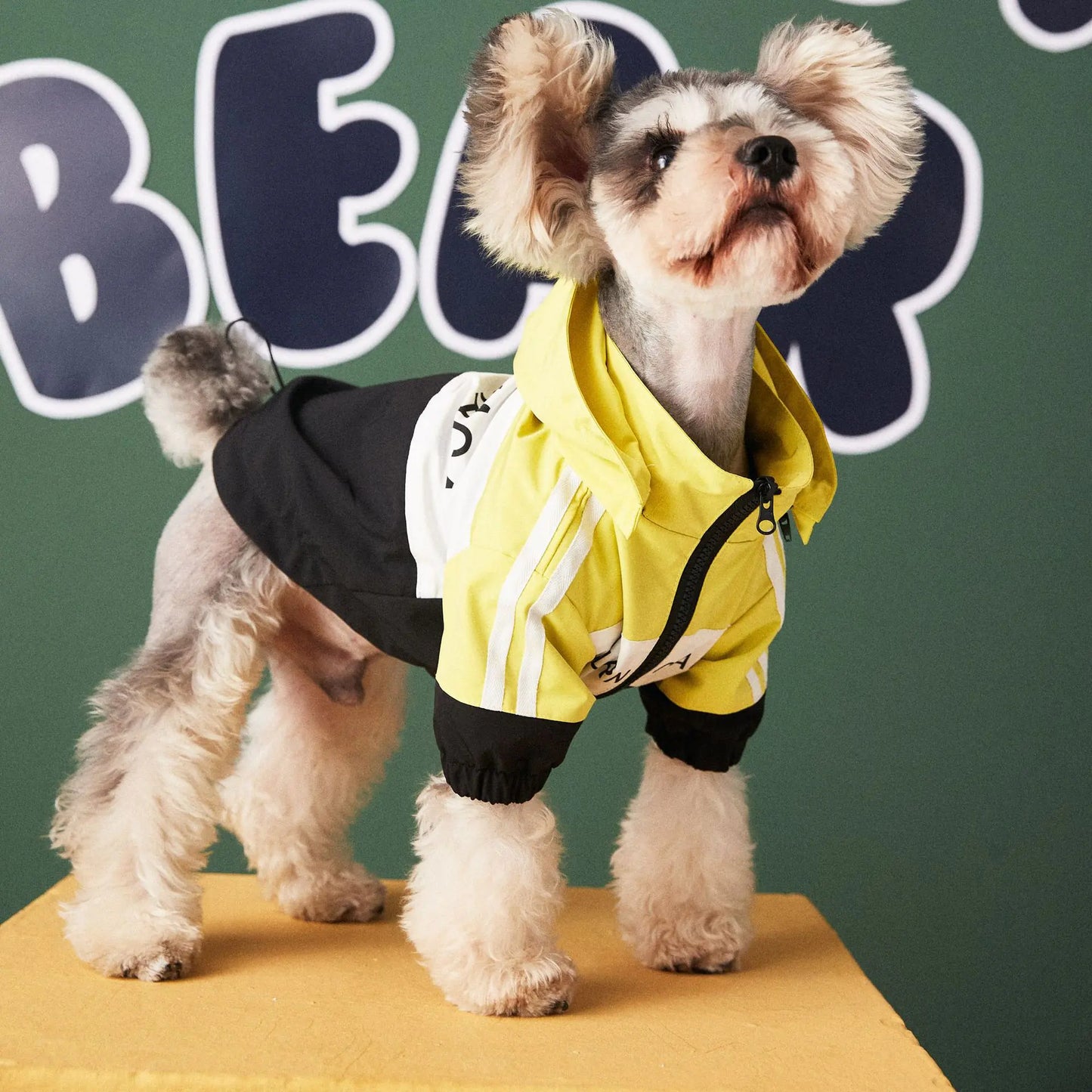 Waterproof Dog Raincoat Jacket
